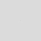 V4H37784A2D3A962E5EFE79526D222D5C87R6933917P6