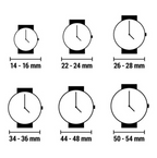 Montre Homme Maserati® R8873612049