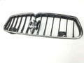 Maserati grille